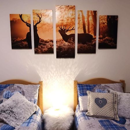 Appartamento Valmaor Predazzo Exteriér fotografie